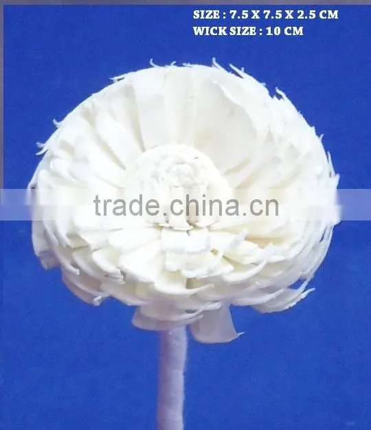 Home decoration sola flower