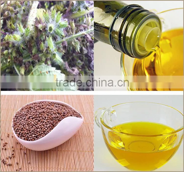 Hot Sale Health Cooking Oil High Quality Cold Pressed Perilla Seed Oil