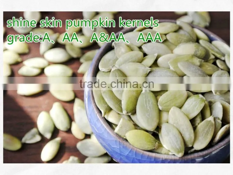 Snow White Organic Pumpkin Seeds In Shell