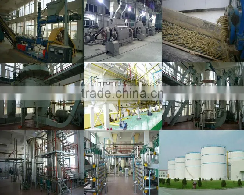 China Biggest Corn oil extraction machine supplier