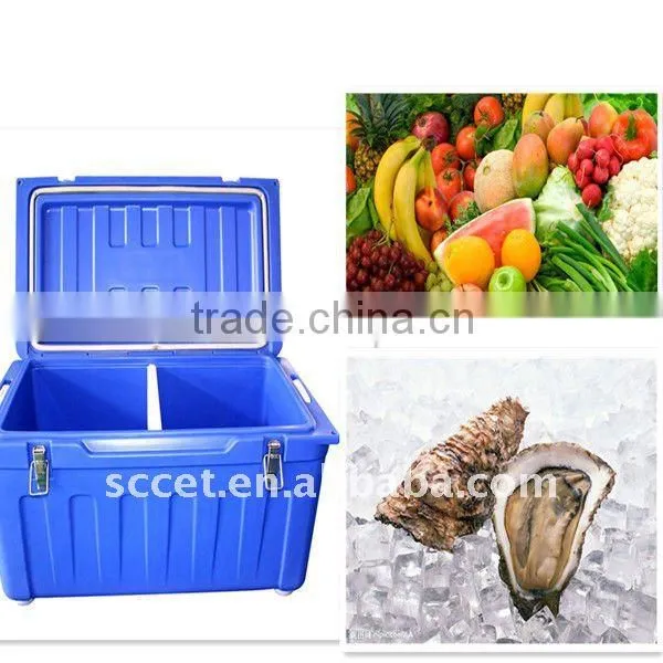 62L insulated plastic cooler box insulated freezer