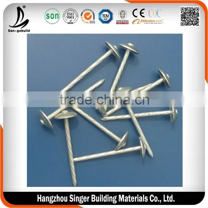Galvanized roofing nails for roofing, best quality coil roofing nail