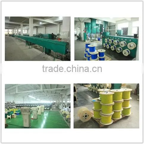 10mm2 Silicone Rubber Insulated High-voltage Electrical Motor Leading Wire
