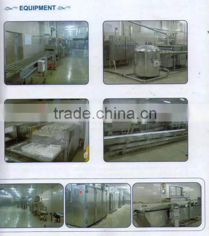 good quality IQF frozen squid ring