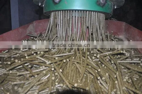 henan zhengzhou bay leaf drying machine/leaves drying machine for sale