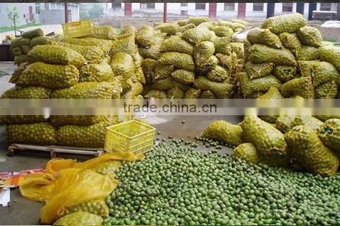 Industrial Green Walnut Cleaning Machine/New Green Walnut Peeling Machine/ Green Walnut Cracker