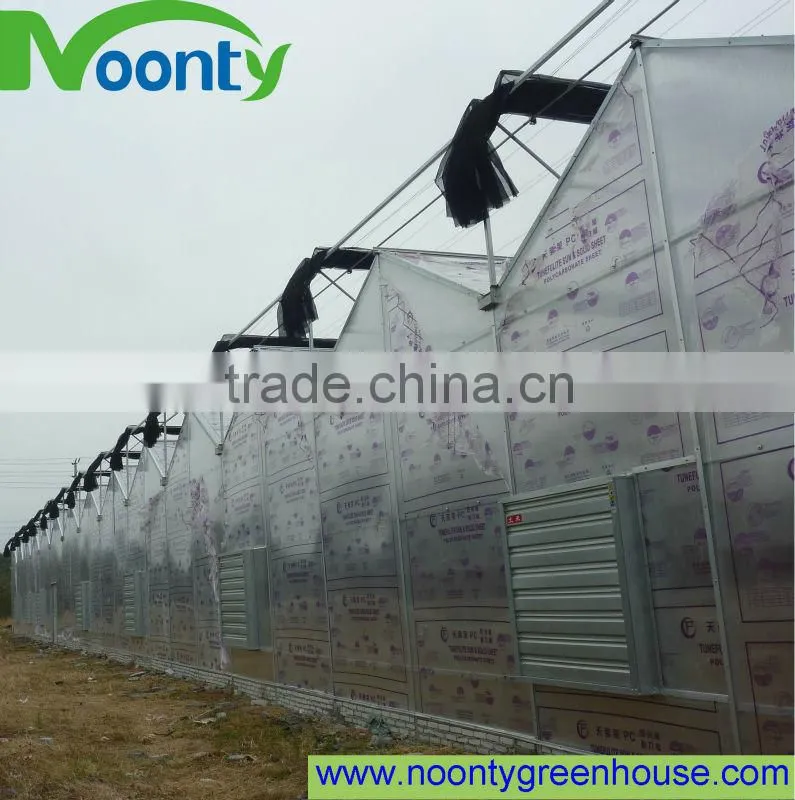 Polycarbonate Sheet Greenhouse