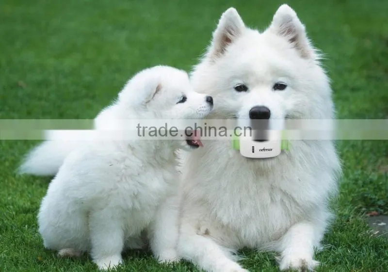 2016 new GPS pets Tracker/gps tracker for persons locator and pets/mini gps tracker