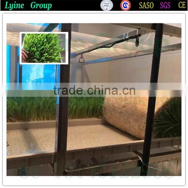 2016 Hot Selling large plastic trays