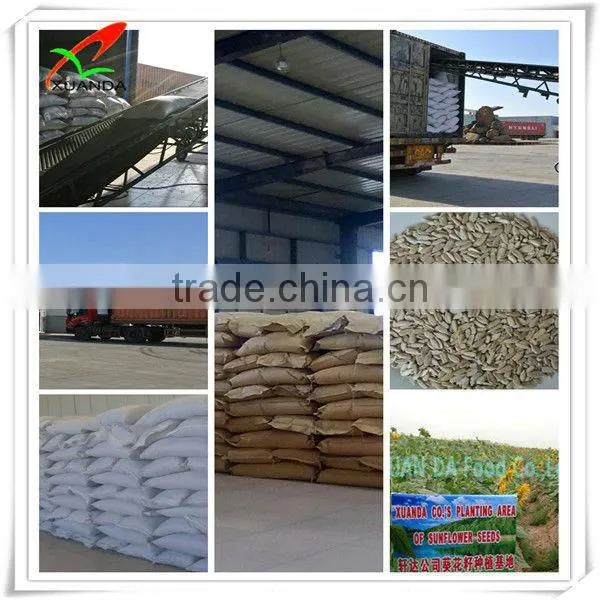 hot sale high quality black & red watermelon seed from china