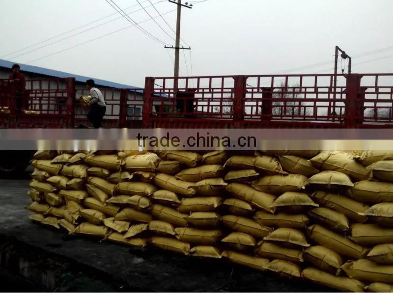 8*30mesh Coal based granular activated carbon large specific surface area