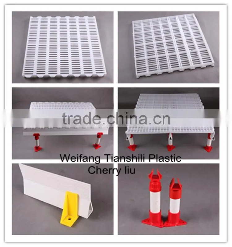 china farm plastic chicken slat floor