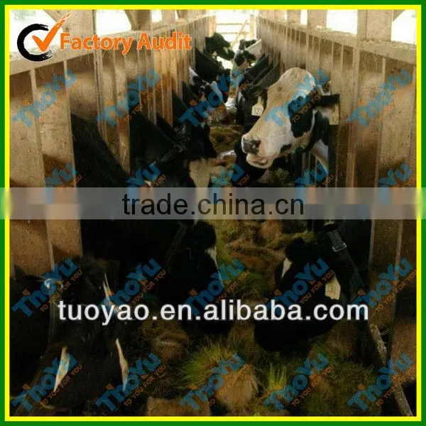 THOYU Brand Salable Germinator For Chicken with Best Price(Mob:+86-15903675071)