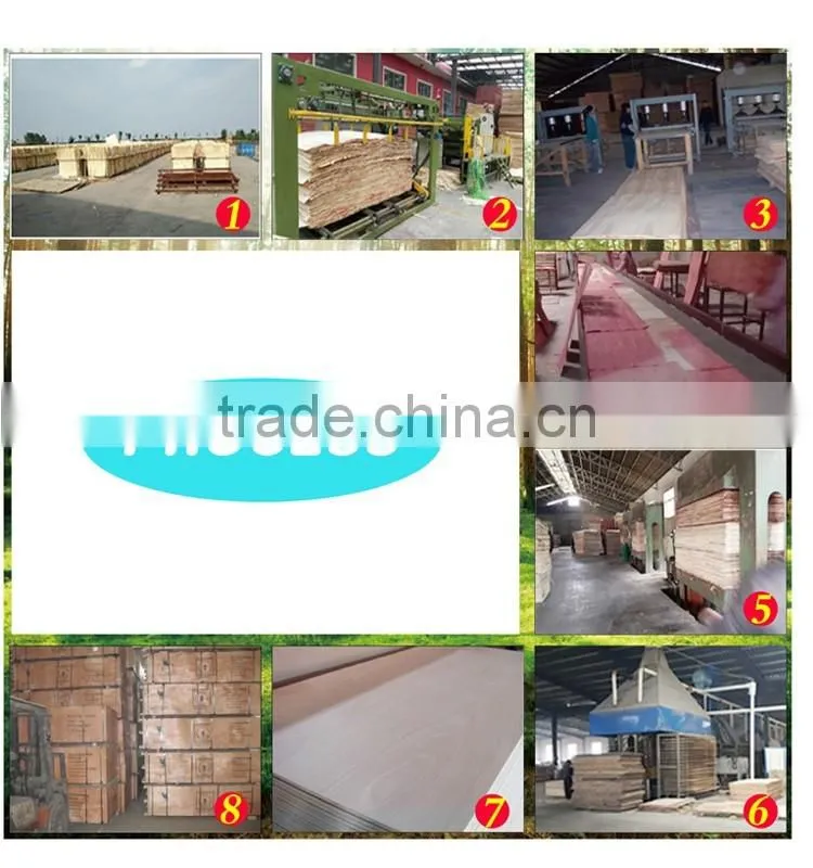 18mm Furniture Grade Birch Plywood for Export