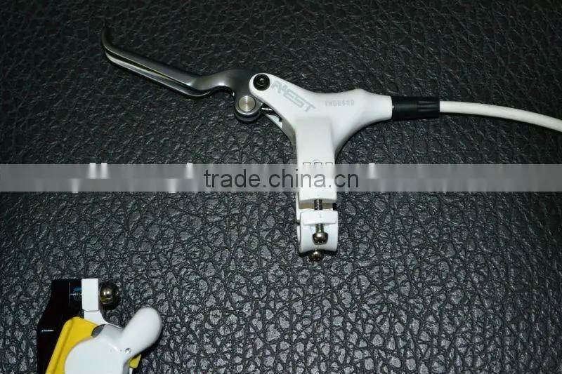 Integrated Hydraulic Brake