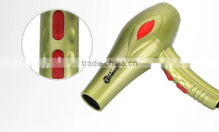 Ionic Professional Hair Dryer, 1200W to 2000W