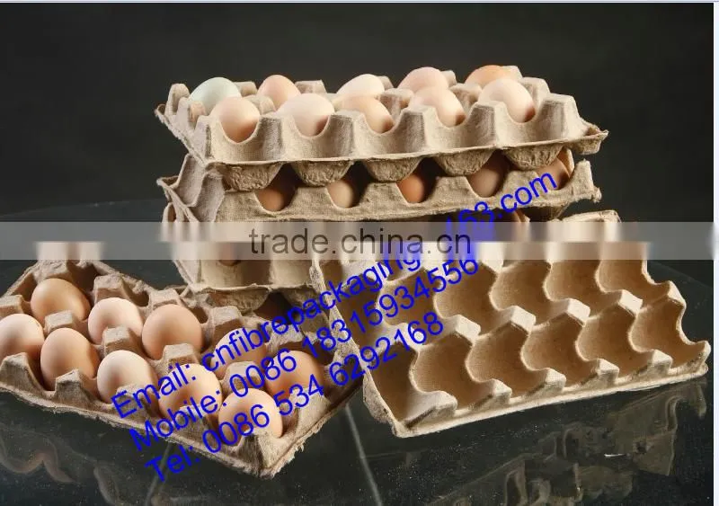 OEM Orders Eco-friendly molded paper pulp beverage tray