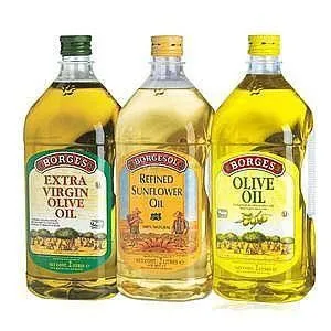 Hydraulic Oil Vegetable Oil Edible Oil Pressing Machine Cold & Hot Pressing Machine