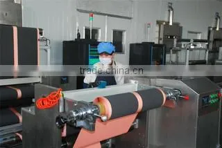 Shenzhen Lishing Electronics Company Limited company overview - view 1