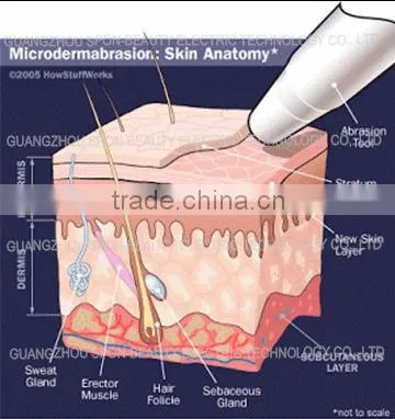 7 in 1 Multifunctional machine