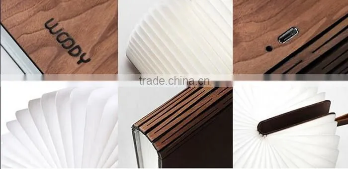 Mini Version LED WOODY Book Lamp