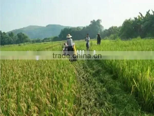 Mini combine rice harvester /rice harvesting machine/rice harvesting tools for sale
