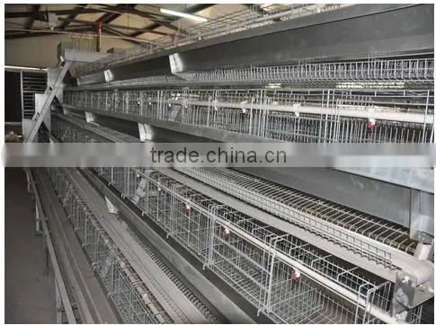 Chinese factory design steel A type laying cages for chicken