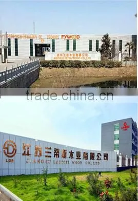 Xuzhou Feiya Wood Co., Ltd. company overview - view 3