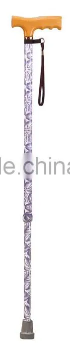 Factory promotions nordic walking stick