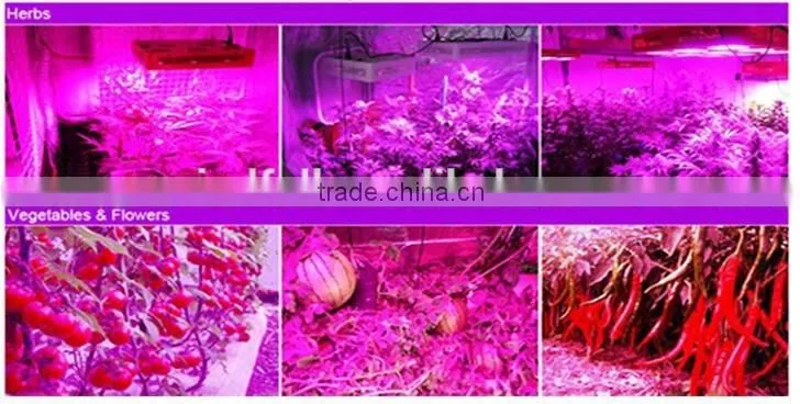 Wholesale Full Spectrum 36W Plant Led Grow Lamp