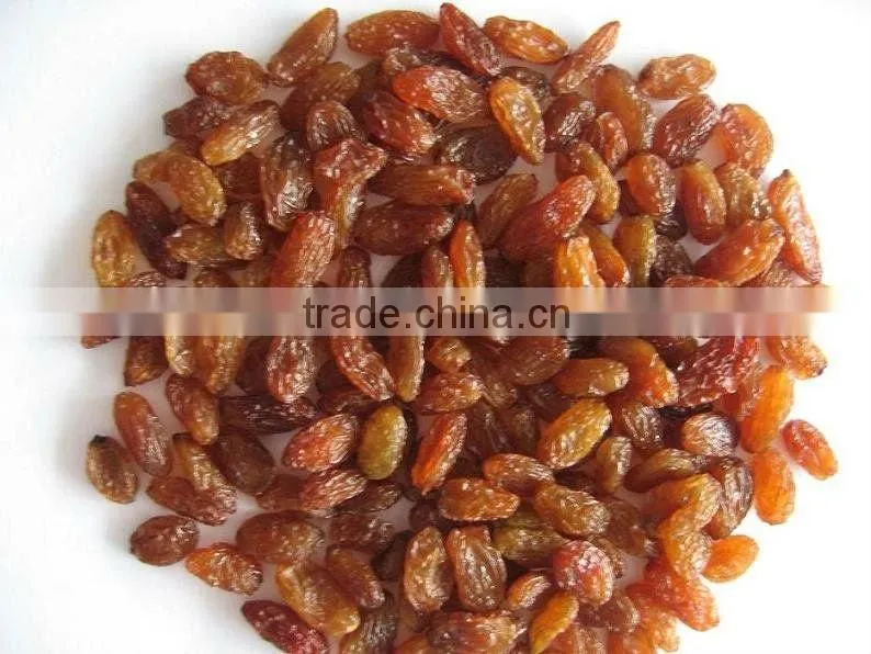 raisins producers