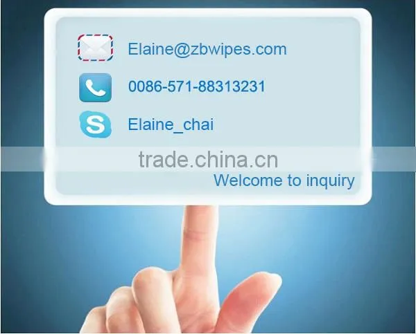 Pet Eye Wipes Pet Ear Wipes Towelettes Pet Production