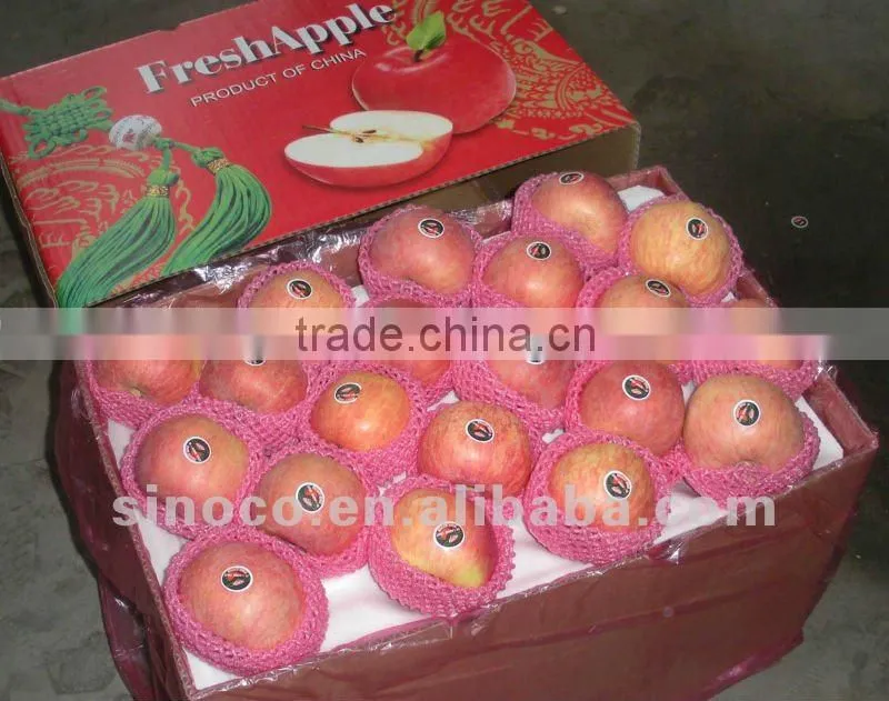 Fresh Fuji Apple