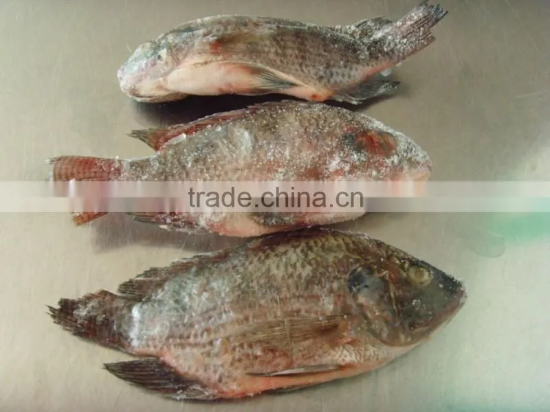 black tilapia tilapia gutted and scaled cleaning tilapia