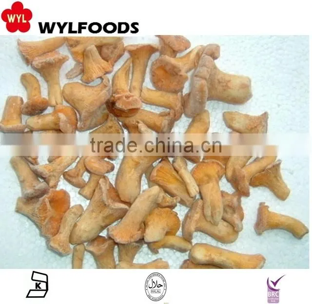 2015 new product China mushroom frozen chanterelles mushroom