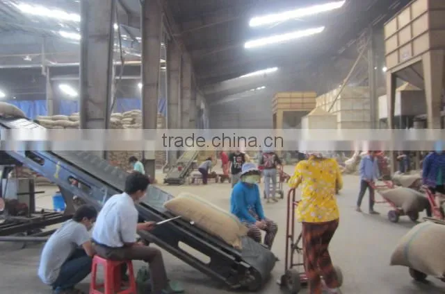 VIETNAM CLEAN BLACK PEPPER 550 G/L, 550 G/L