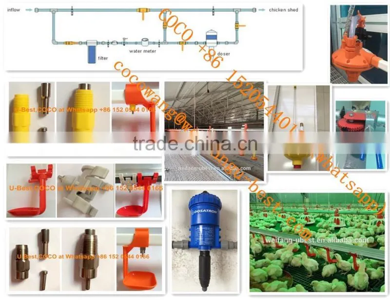2017 Hot Sale Low Price Broiler Farm Equipment Automatic Poultry Feeding And Nipple Drinking System for Breeding Chickens