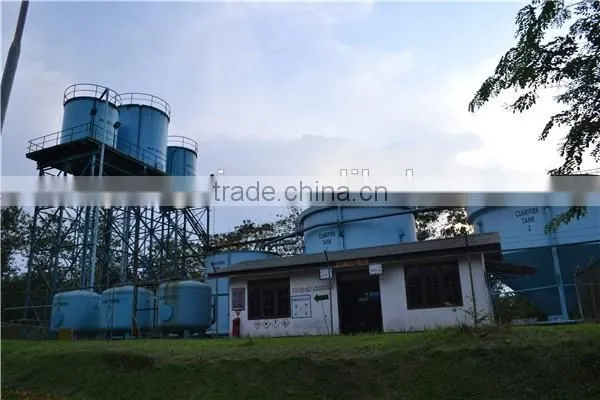 Sinar Mas Group partner 5TPH palm oil press machine