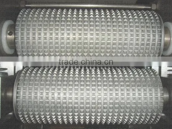 Pet food machinery (Video)