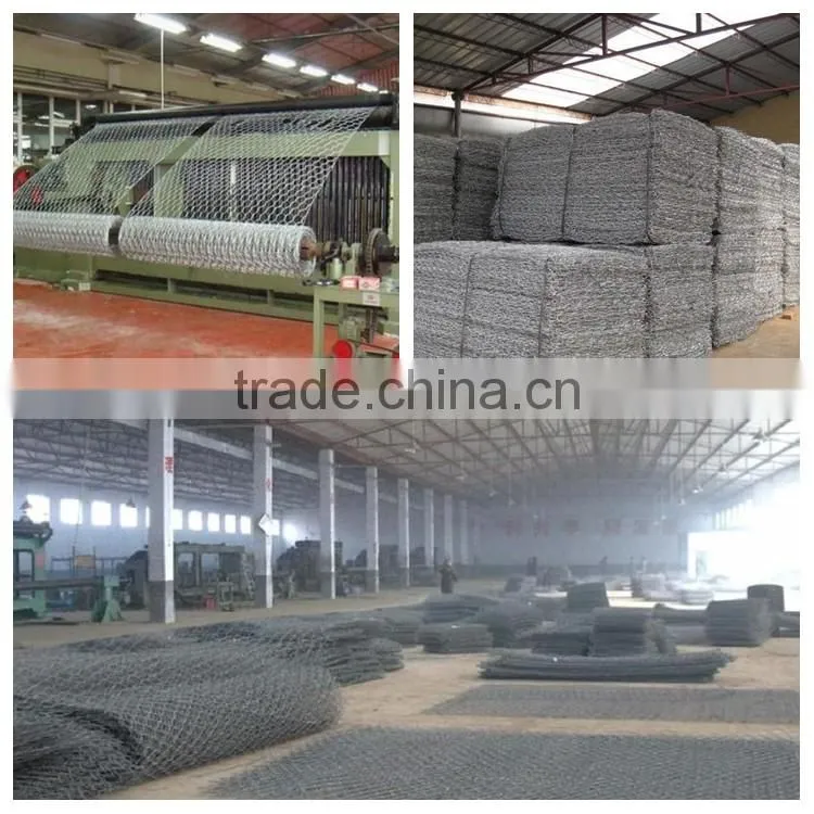 Buy Wholesale From China wire mesh cages