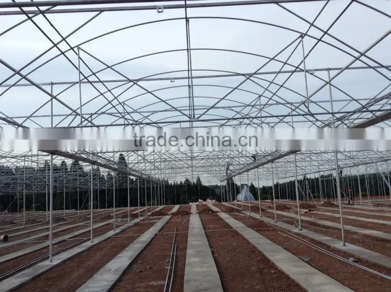 Prefabricated Steel Frame Green house With Plastic Covering