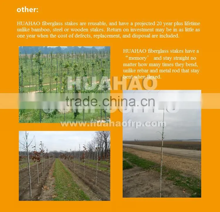 Fiberglass Garden Plant Support,High Strength Flexible Super UV Durable fiberglass plant support rod fast delivery