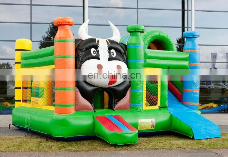 Double lanes Inflatable Slide Bounce Combo