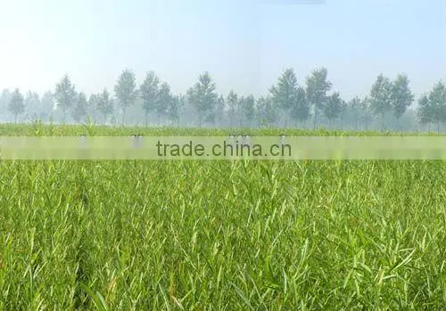 2016 food fruit flowers clothes store willow basket