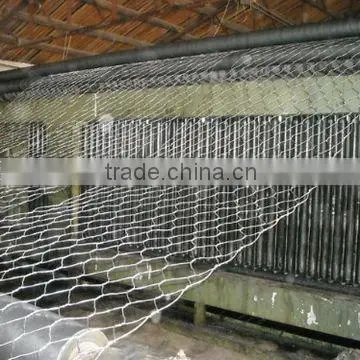 Anping Tianyue Honest sell high quality&low price hexagonal wire netting(galvanized,black annealed,PVC Coated wire)
