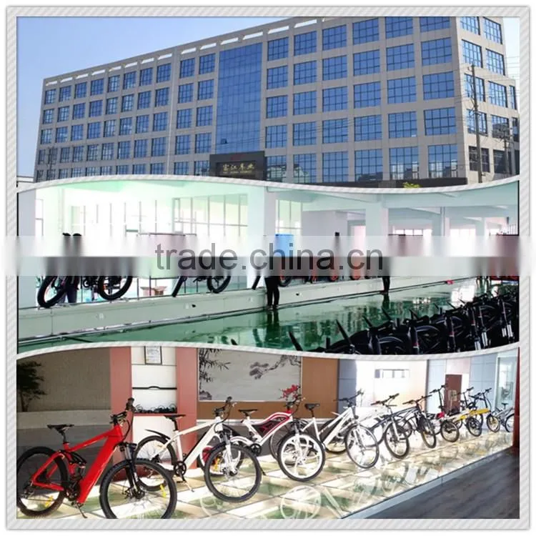 2015 modern beauty electric scooter, electric scooter shanghai with european standard EEC