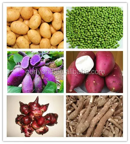 Shanghai Factory Cassava Flour Milling Machine / Tapioca Potato Cassava Starch Process Line Production Plant