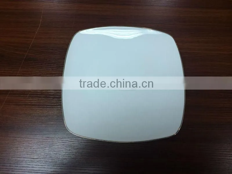 12" plates for restaurants / food serving trays / porcelain rectangular plates