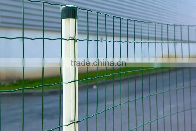 Euro Welded Wire Mesh Roll Garden Fence