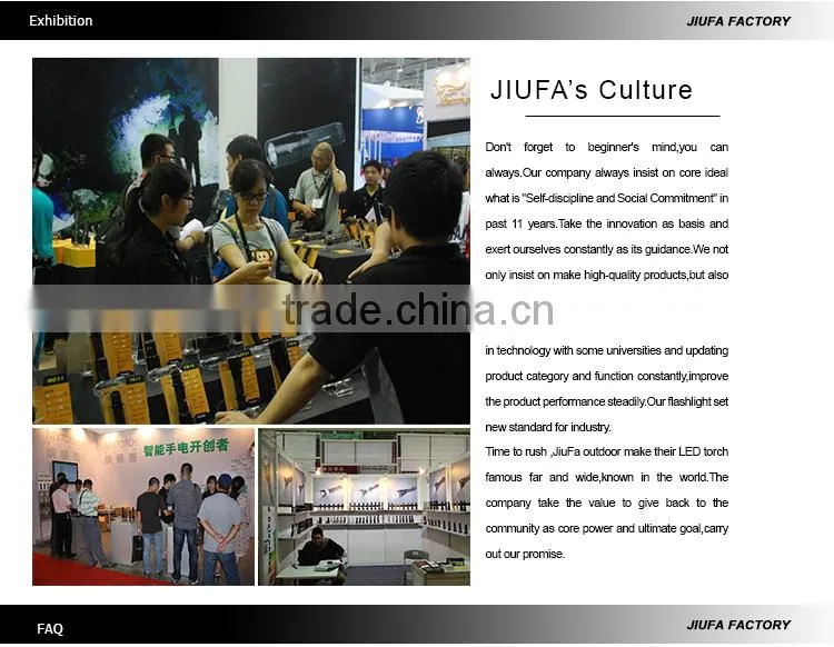 11 year experience factory promotional cheap led flashlight